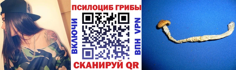 Галлюциногенные грибы Psilocybine cubensis  кракен ТОР  Юрга  купить наркотик 