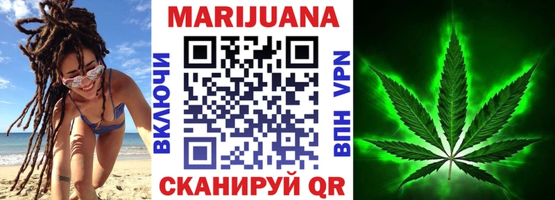 купить наркотики сайты  Юрга  Каннабис сатива 